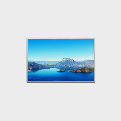 10.1인치 고 밝기 LCD 디스플레이 1280*800 LVDS 1000nits