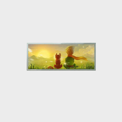 21.9인치 바 타입 LCD 디스플레이 1920*712 LVDS 1000nits