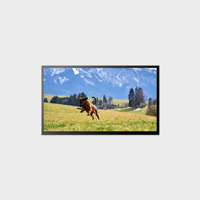 23.8인치 고 밝기 LCD 디스플레이 58W 1920*1080 LVDS LCD 패널 1000nits