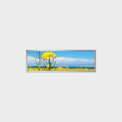 19.4인치 바 타입 LCD 디스플레이 1920*510 LVDS 500nits