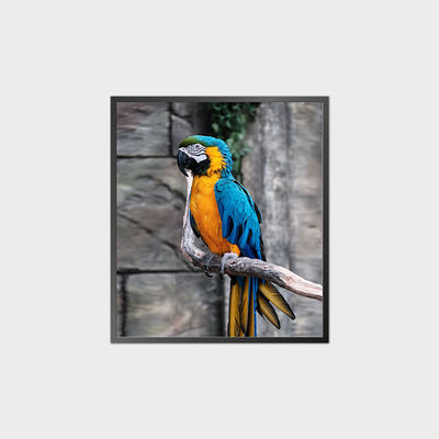 고 콘트라스트 사각형 LCD 패널 35.6 인치 950*1080 500nit 안드로이드 시스템