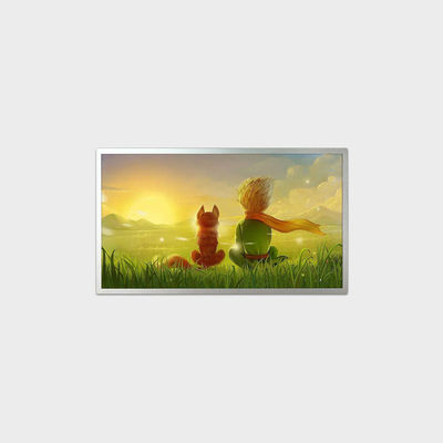 18.5인치 LCD 디스플레이, 커브라인 차원 431*255*9.2mm 1920*1080 해상도 및 0-50C LVDS LCMA-RX0185GB10-C050