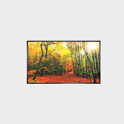 LCD 화면 43 인치 LCD 패널 1000nits 해상도 3840 * 2160 LCMA-RX0430GL19-Z100