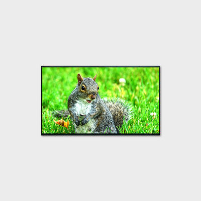 LCMA-RX0430GB03-Z200 1920*1080 해상도와 2000nits의 높은 밝기로 43" LCD 화면