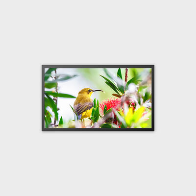 32 인치 TFT LCD 광고 디스플레이 4000nits 고휘도 솔루션