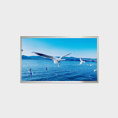 13.3인치 TFT LCD 솔루션 800nits 밝기 솔루션 넓은 온도 디스플레이