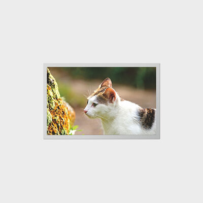 휴대용 의료 기기용 저전력 소비 LCD를 갖춘 12.1인치 TFT 디스플레이