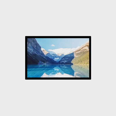 LVDS 1200nits 고 밝기 LCD 디스플레이 1280*800 10.1 인치 LCD 스크린 옥외 광고