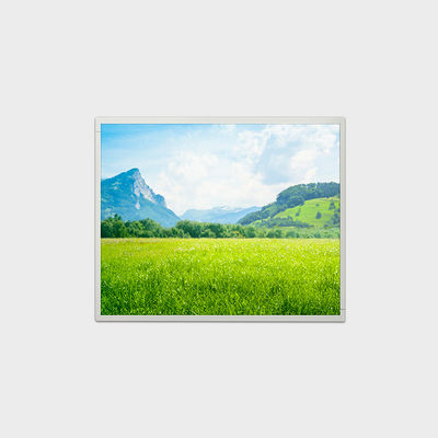 LVDS 500nits 고 밝기 LCD 화면 19 인치 LCD 디스플레이 1280 * 1024