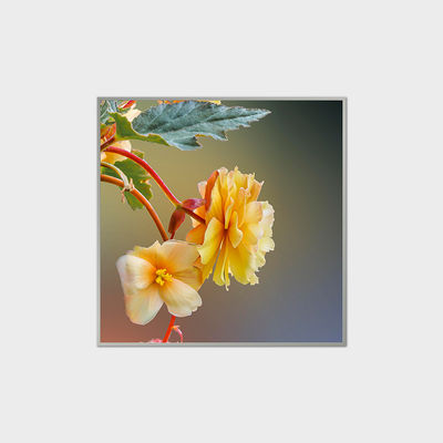 33.2 인치 사각형 LCD 디스플레이 420nits 쇼핑몰용 LVDS LCD 모듈