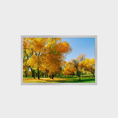 12.1인치 TFT LCD 디스플레이 1280*800 해상도 16:9 LVDS 인터페이스 1500nits