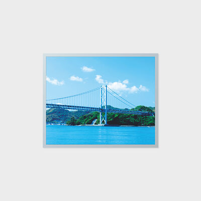 넓은 온도 산업 지역을 가진 19 인치 TFT LCD 디스플레이 1280*1024 해결책