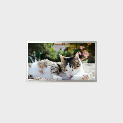 18.5 인치 TFT LCD 디스플레이 E-LED 타입 시리즈 솔루션 1200nits 밝기