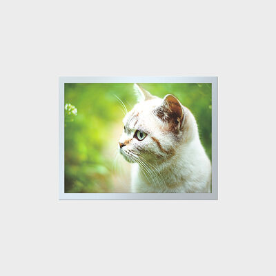 산업용 계기판용 15인치 고휘도 TFT 긴 수명 LCD