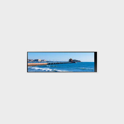 320*960 지원 300nits 밝기 인물 모드를 갖춘 4.6인치 바형 LCD 디스플레이