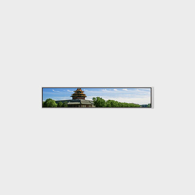 280*1424 해상도 지원 밝기 사용자 정의 기능을 갖춘 6.9인치 바형 LCD