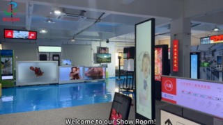 Rogin의 쇼룸 - 중소형 Full-HD LCD 모듈